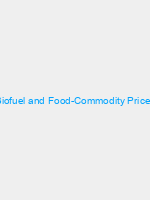 Biofuel and Food-Commodity Prices